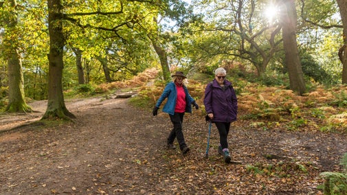 Two people walking at Alderley Edge and Cheshire Countryside, Cheshire